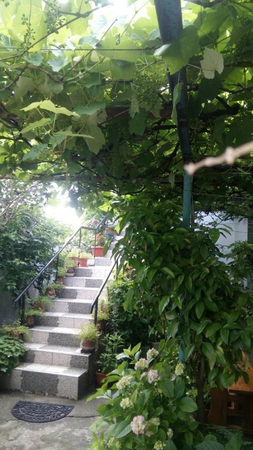 Свети Никола 호텔 시네모레츠 외부 사진